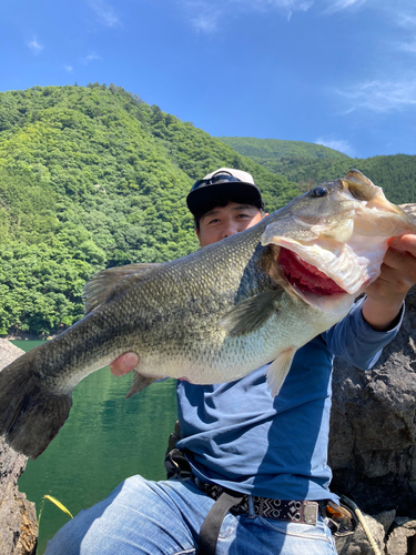 ブラックバスの釣果