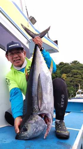 キハダマグロの釣果