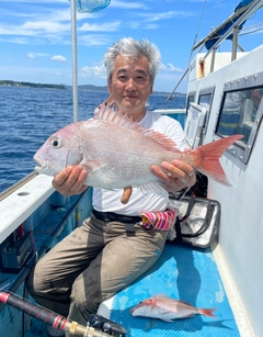 マダイの釣果