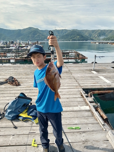 タイの釣果