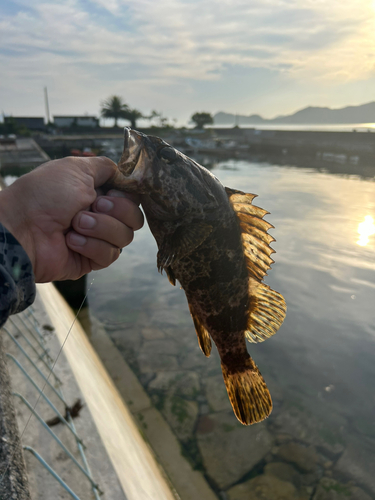 周防大島（屋代島）