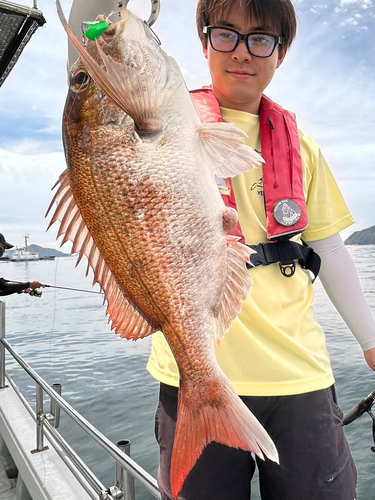 マダイの釣果