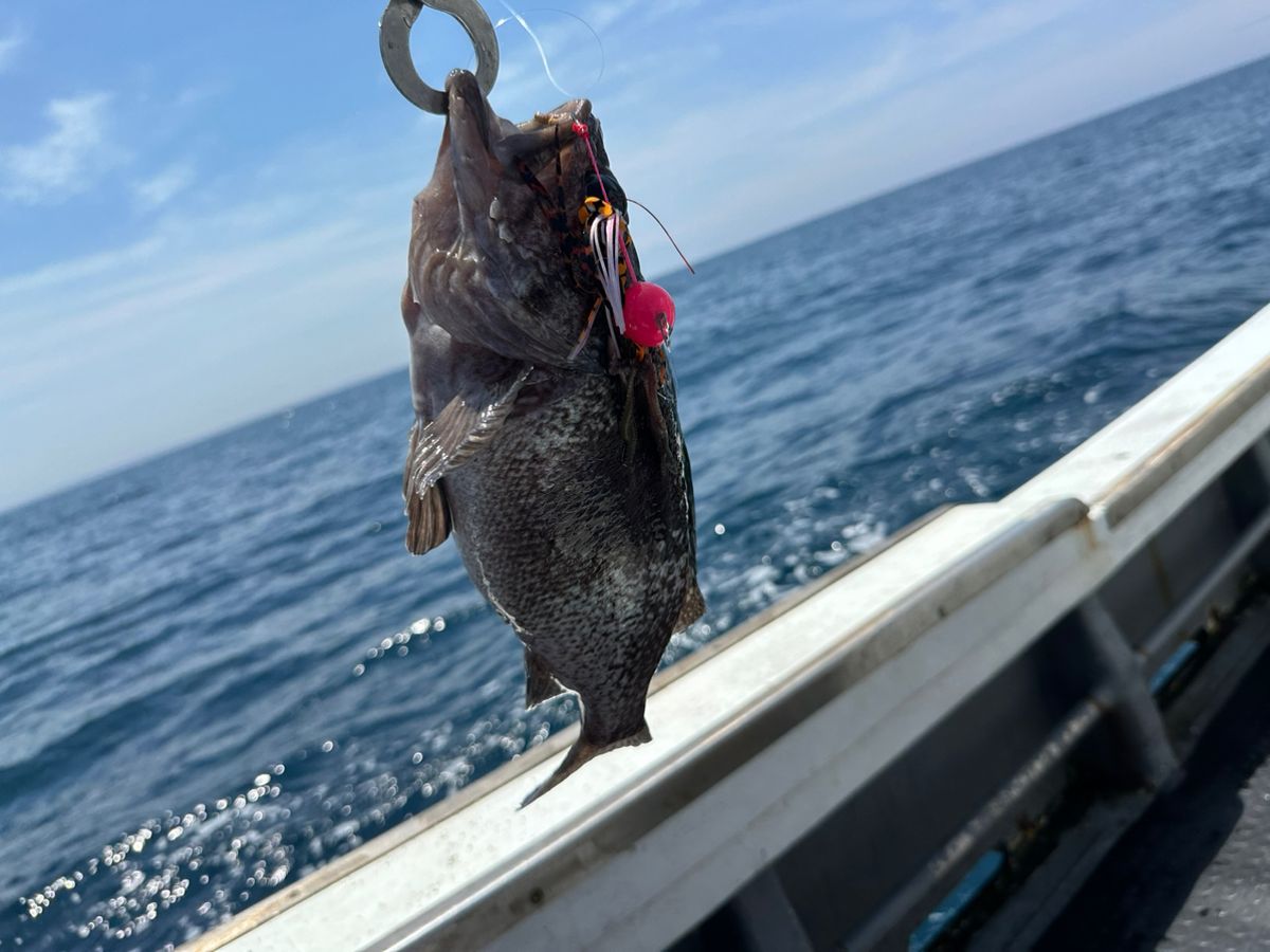 ClearBlue大好きさんの釣果 1枚目の画像