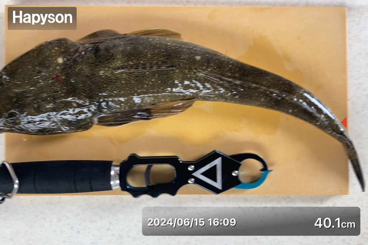 Whoopded0さんの釣果 2枚目の画像