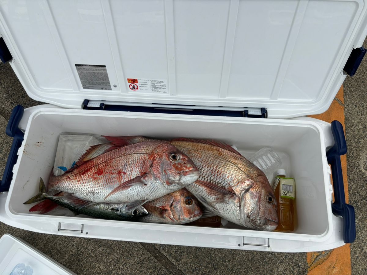 ふわトロ鍋さんの釣果 1枚目の画像