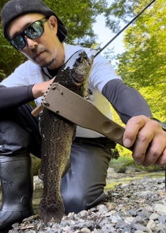 ニジマスの釣果