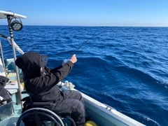 オキメバルの釣果