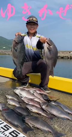 クチブトグレの釣果