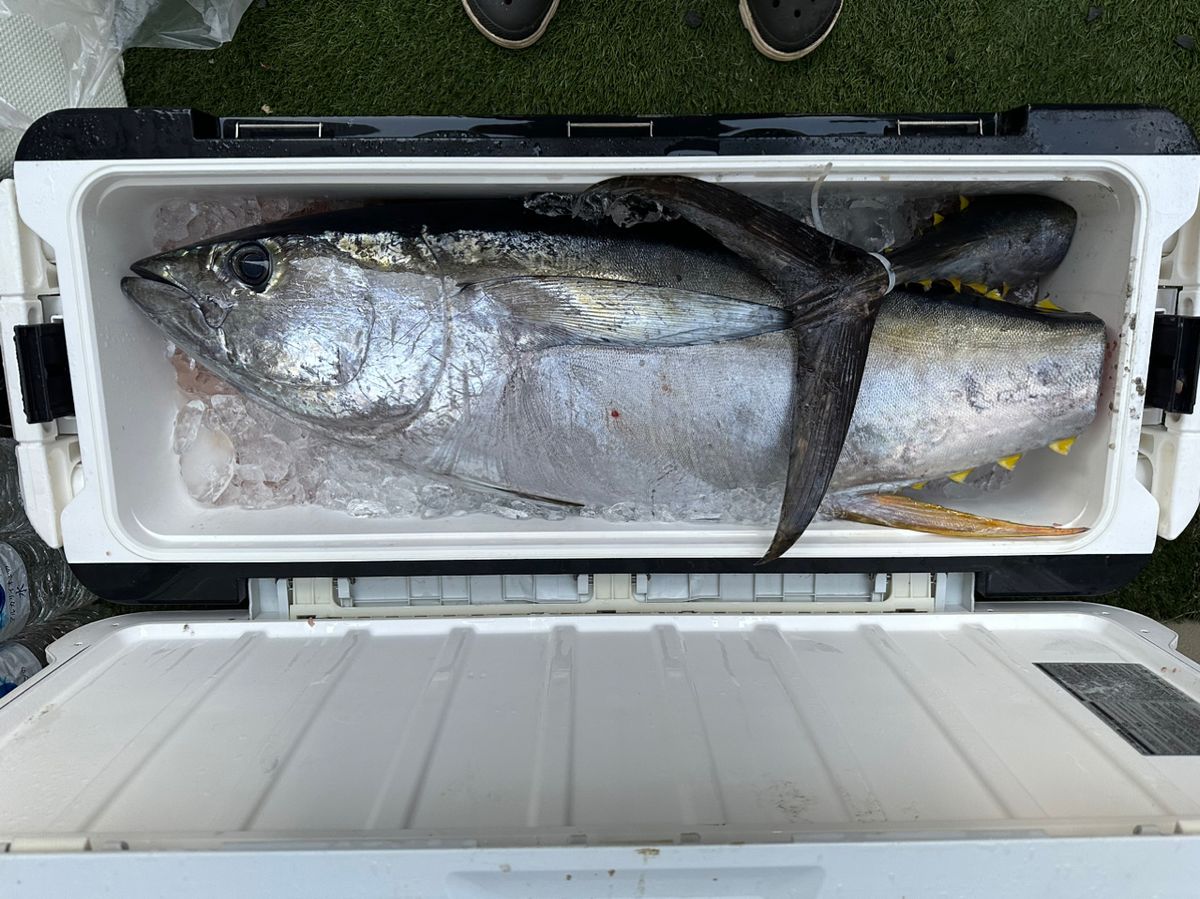 ヒグヒグさんの釣果 2枚目の画像