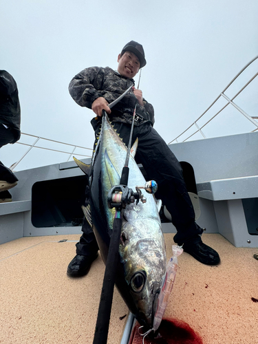 メバチマグロの釣果