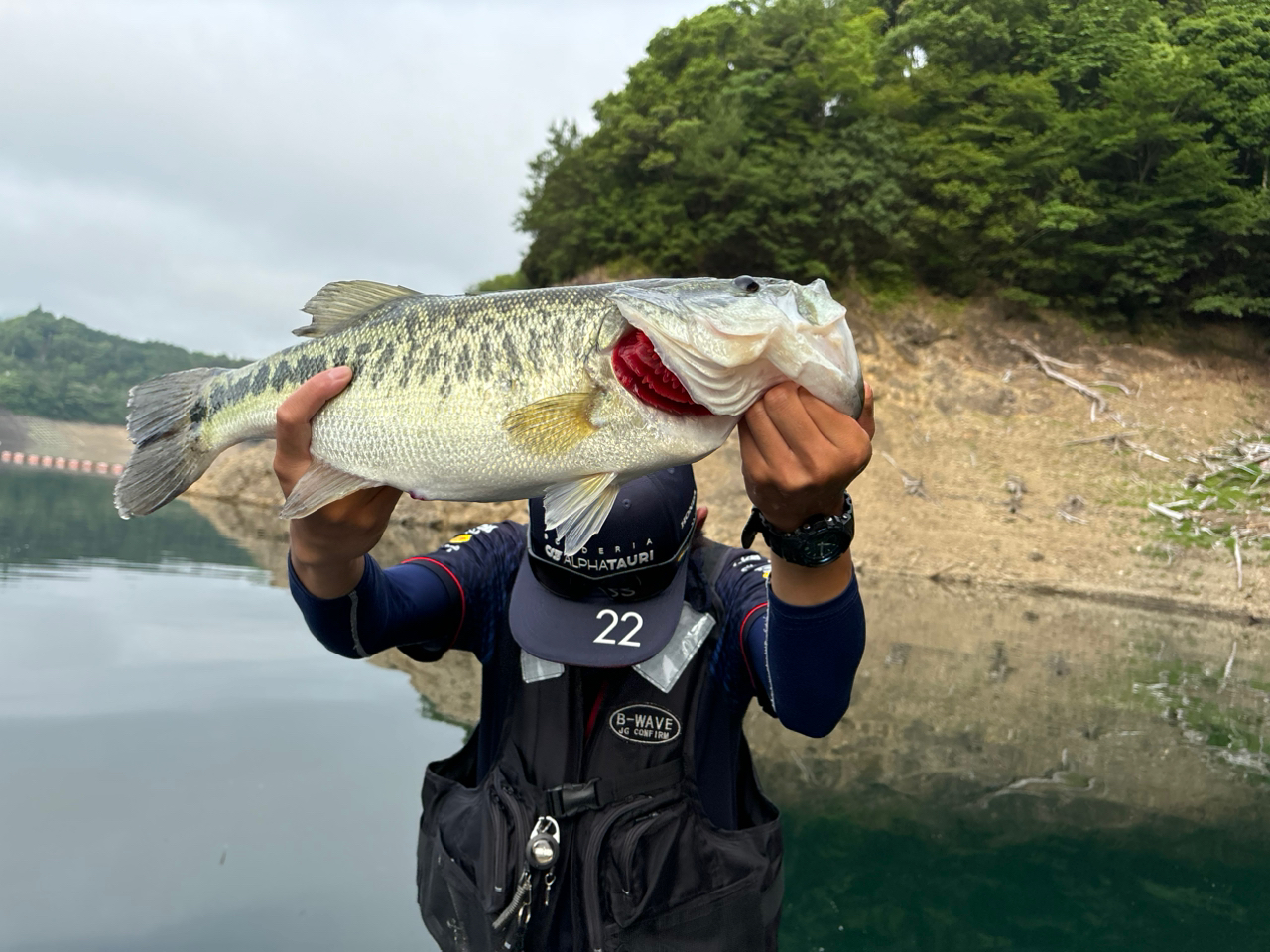 ブラックバス