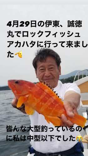 アカハタの釣果