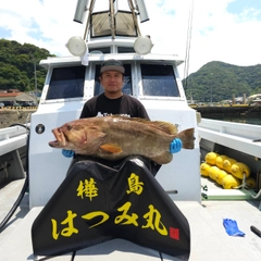 アラの釣果