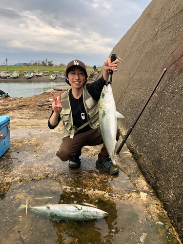 ワラサの釣果