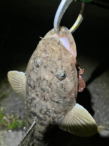 紀伊水道