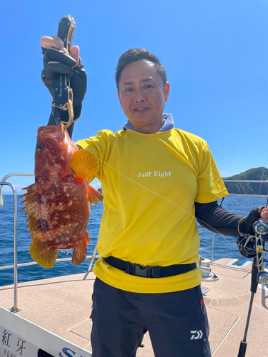 アコウの釣果