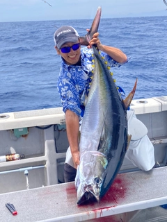 キハダマグロの釣果