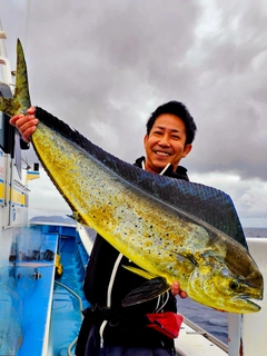 シイラの釣果