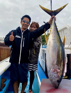 キハダマグロの釣果