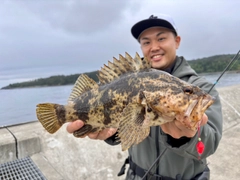 タケノコメバルの釣果