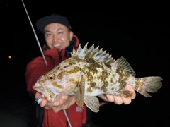 タケノコメバルの釣果