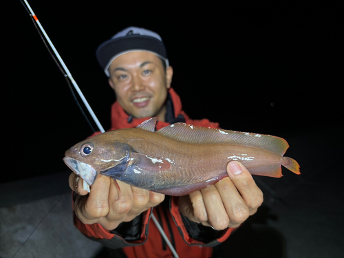 チゴダラの釣果