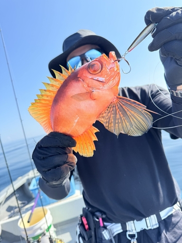 チカメキントキの釣果