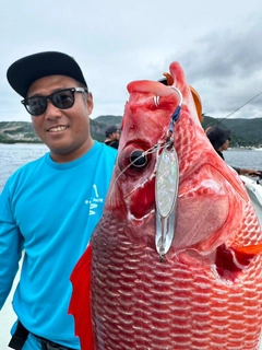 トガリエビスの釣果