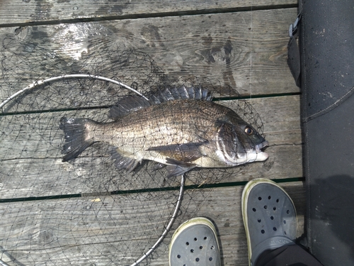 由良海つり公園