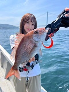 マダイの釣果