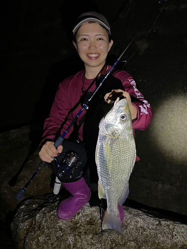 ホシミゾイサキの釣果