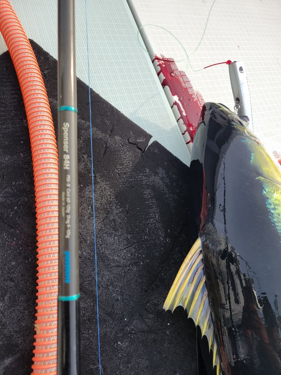 Trust1277さんの釣果 2枚目の画像