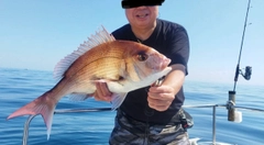 タイの釣果