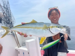 ヒラマサの釣果