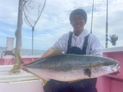 ヒラマサの釣果