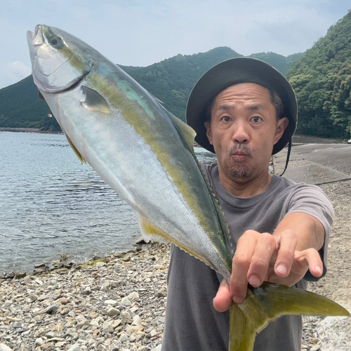 メジロの釣果