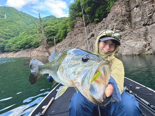 ブラックバスの釣果