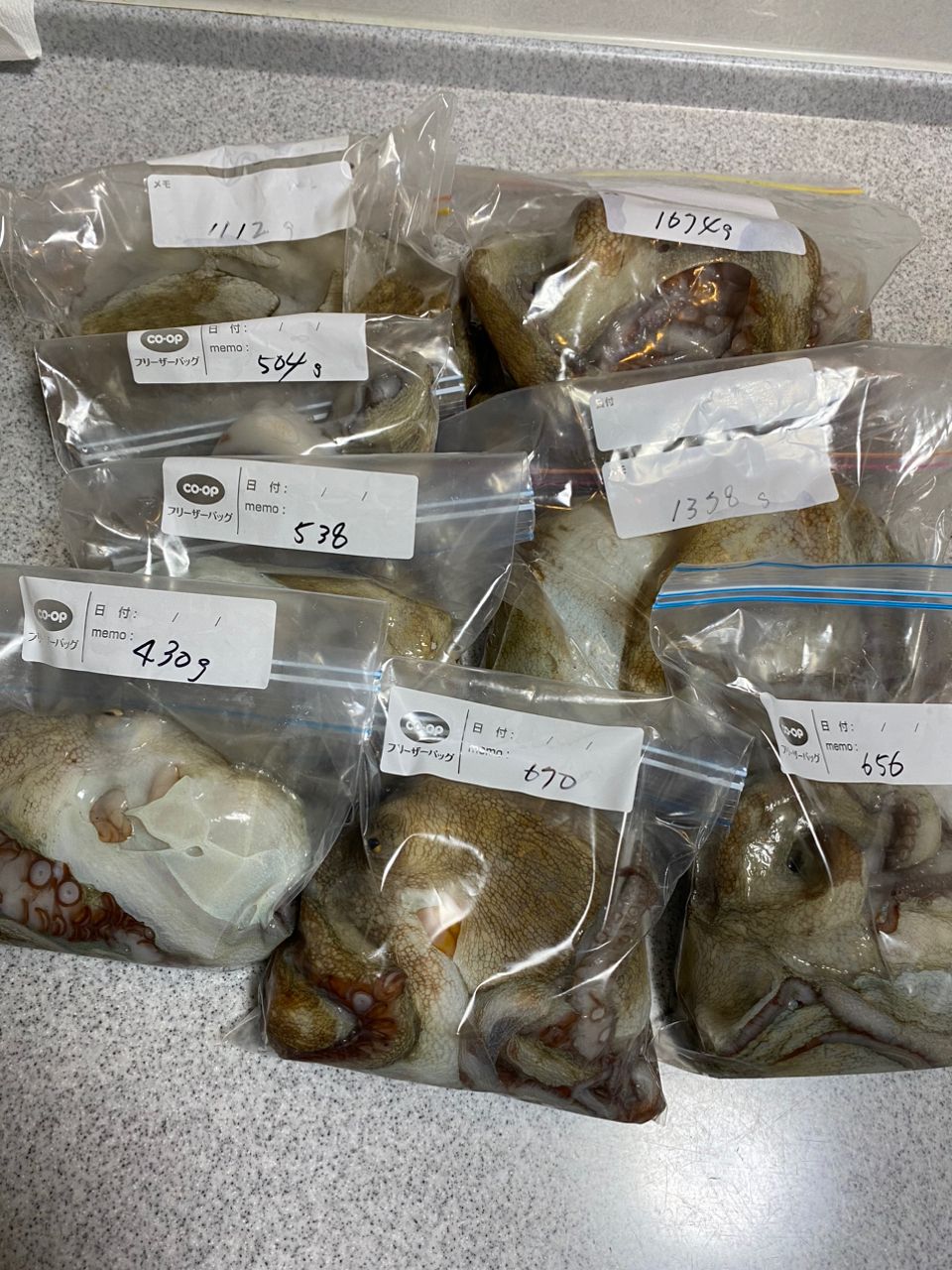 CFC SHUさんの釣果 3枚目の画像