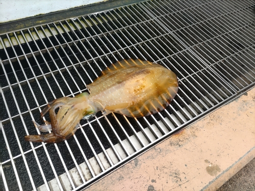 新地町海釣り公園