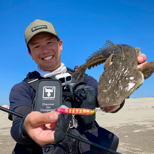 マゴチの釣果