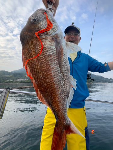 マダイの釣果