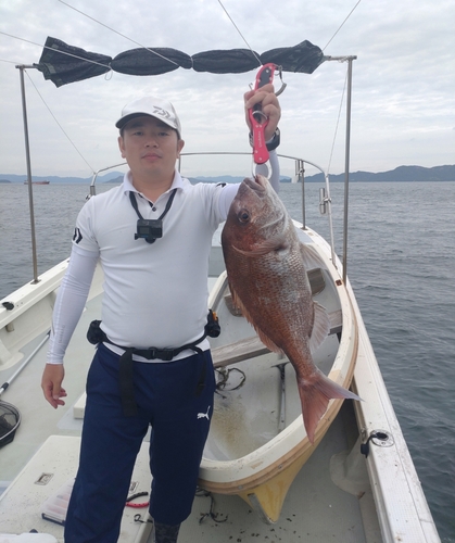 アコウの釣果