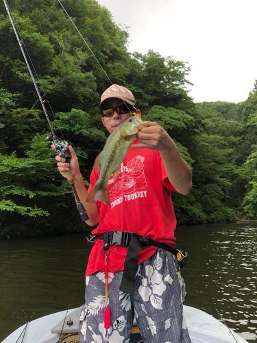 ブラックバスの釣果