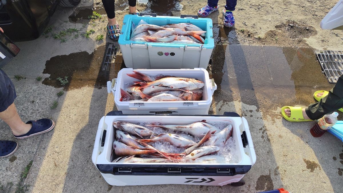 スズキーノさんの釣果 3枚目の画像