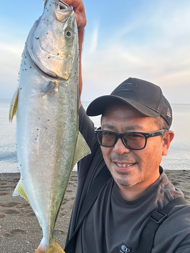 イナダの釣果