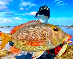 クチナジの釣果