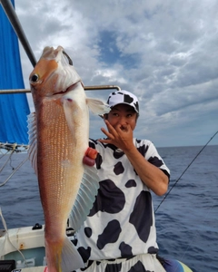 アマダイの釣果