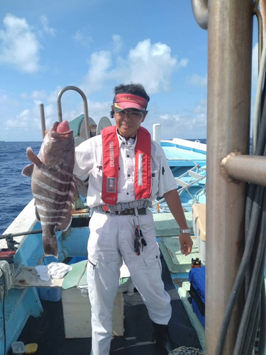 マハタの釣果