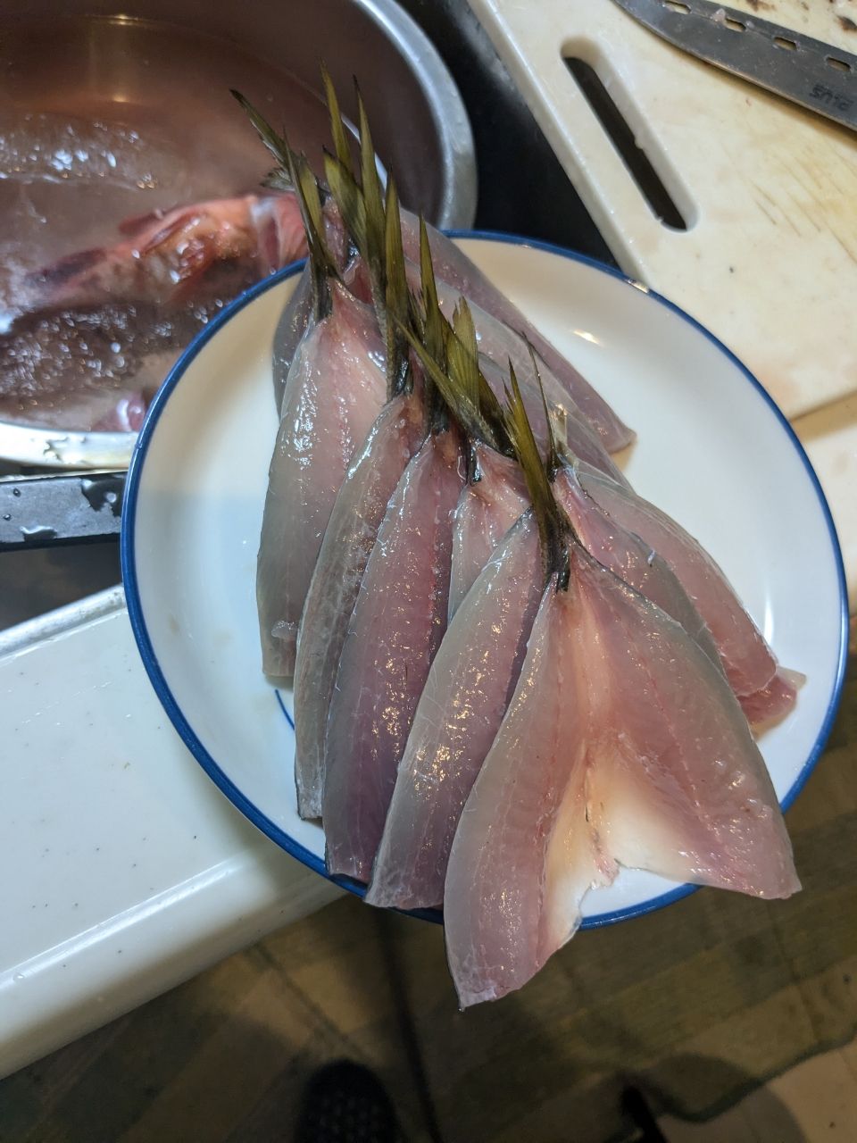 ゲバゴンさんの釣果 2枚目の画像