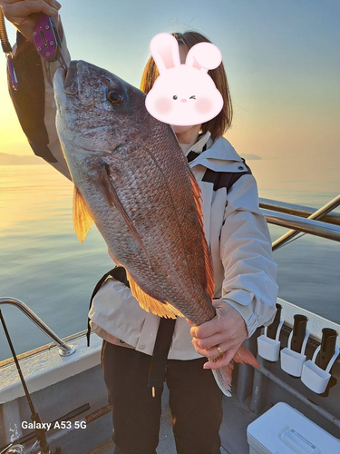 マダイの釣果